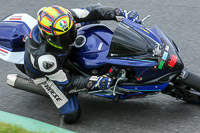 14-06-2015 Mallory