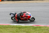 brands-hatch-photographs;brands-no-limits-trackday;cadwell-trackday-photographs;enduro-digital-images;event-digital-images;eventdigitalimages;no-limits-trackdays;peter-wileman-photography;racing-digital-images;trackday-digital-images;trackday-photos