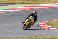 Novice Group Green/Yellow Bikes