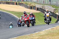 brands-hatch-photographs;brands-no-limits-trackday;cadwell-trackday-photographs;enduro-digital-images;event-digital-images;eventdigitalimages;no-limits-trackdays;peter-wileman-photography;racing-digital-images;trackday-digital-images;trackday-photos