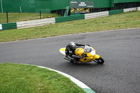 Fast Group Green/Yellow Bikes
