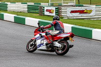 enduro-digital-images;event-digital-images;eventdigitalimages;mallory-park;mallory-park-photographs;mallory-park-trackday;mallory-park-trackday-photographs;no-limits-trackdays;peter-wileman-photography;racing-digital-images;trackday-digital-images;trackday-photos