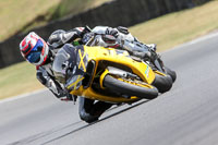 Inter Group 1 Green/Yellow Bikes