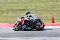 Fast Group Multicolour Bikes