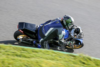 Inter Blue/White Bikes