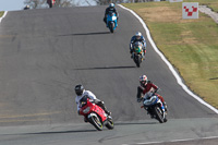 anglesey;brands-hatch;cadwell-park;croft;donington-park;enduro-digital-images;event-digital-images;eventdigitalimages;mallory;no-limits;oulton-park;peter-wileman-photography;racing-digital-images;silverstone;snetterton;trackday-digital-images;trackday-photos;vmcc-banbury-run;welsh-2-day-enduro