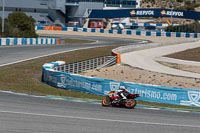 18-to-20th-november-2013;28th-to-30th-march-2015;Jerez;event-digital-images;motorbikes;no-limits;peter-wileman-photography;trackday;trackday-digital-images