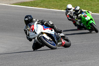 Fast Group Multicolour Bikes