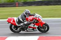 enduro-digital-images;event-digital-images;eventdigitalimages;no-limits-trackdays;peter-wileman-photography;racing-digital-images;snetterton;snetterton-no-limits-trackday;snetterton-photographs;snetterton-trackday-photographs;trackday-digital-images;trackday-photos