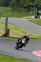 Inter Group Black/Silver Bikes