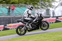 Evening Fast/Inter Black/Silver Bikes