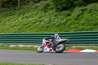 cadwell-no-limits-trackday;cadwell-park;cadwell-park-photographs;cadwell-trackday-photographs;enduro-digital-images;event-digital-images;eventdigitalimages;no-limits-trackdays;peter-wileman-photography;racing-digital-images;trackday-digital-images;trackday-photos