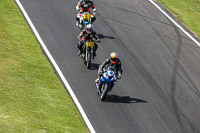 Fast Group Blue/White Bikes