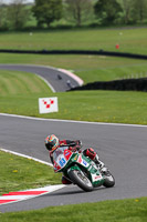 Fast Group Green/Yellow Bikes