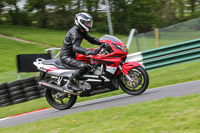 cadwell-no-limits-trackday;cadwell-park;cadwell-park-photographs;cadwell-trackday-photographs;enduro-digital-images;event-digital-images;eventdigitalimages;no-limits-trackdays;peter-wileman-photography;racing-digital-images;trackday-digital-images;trackday-photos