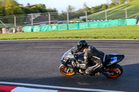 Evening Novice/Inter Black/Silver Bikes