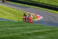 Evening Novice/Inter Red/Orange Bikes