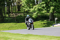 Fast Group Black/silver Bikes