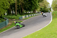 Fast Group Green/Yellow Bikes