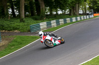 cadwell-no-limits-trackday;cadwell-park;cadwell-park-photographs;cadwell-trackday-photographs;enduro-digital-images;event-digital-images;eventdigitalimages;no-limits-trackdays;peter-wileman-photography;racing-digital-images;trackday-digital-images;trackday-photos