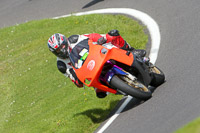 cadwell-no-limits-trackday;cadwell-park;cadwell-park-photographs;cadwell-trackday-photographs;enduro-digital-images;event-digital-images;eventdigitalimages;no-limits-trackdays;peter-wileman-photography;racing-digital-images;trackday-digital-images;trackday-photos