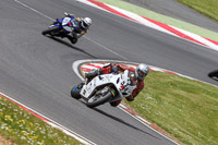 Fast Blue/White Bikes