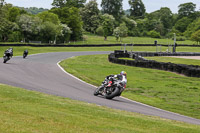 anglesey;brands-hatch;cadwell-park;croft;donington-park;enduro-digital-images;event-digital-images;eventdigitalimages;mallory;no-limits;oulton-park;peter-wileman-photography;racing-digital-images;silverstone;snetterton;trackday-digital-images;trackday-photos;vmcc-banbury-run;welsh-2-day-enduro