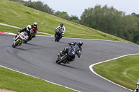 anglesey;brands-hatch;cadwell-park;croft;donington-park;enduro-digital-images;event-digital-images;eventdigitalimages;mallory;no-limits;oulton-park;peter-wileman-photography;racing-digital-images;silverstone;snetterton;trackday-digital-images;trackday-photos;vmcc-banbury-run;welsh-2-day-enduro