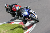 Novice Blue/White Bikes