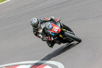 Novice Multicolour Bikes