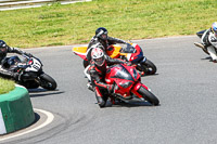 enduro-digital-images;event-digital-images;eventdigitalimages;mallory-park;mallory-park-photographs;mallory-park-trackday;mallory-park-trackday-photographs;no-limits-trackdays;peter-wileman-photography;racing-digital-images;trackday-digital-images;trackday-photos
