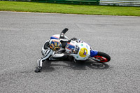 Inter Blue/White Bikes