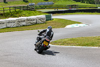 Novice Black/Silver Bikes