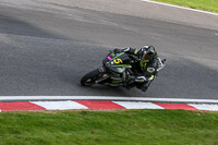 Inter Group Black/Silver Bikes