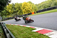 Fast Group Red/Orange Bikes