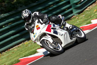 cadwell-no-limits-trackday;cadwell-park;cadwell-park-photographs;cadwell-trackday-photographs;enduro-digital-images;event-digital-images;eventdigitalimages;no-limits-trackdays;peter-wileman-photography;racing-digital-images;trackday-digital-images;trackday-photos