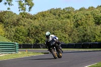 Novice Black/Silver Bikes