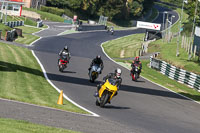 Novice Green/Yellow Bikes