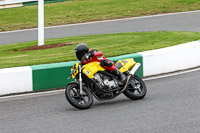 Fast Group Green/Yellow Bikes
