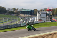 Fast Group Green/Yellow Bikes