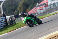 Fast Group Green/Yellow Bikes