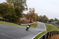 Inter Group Green/Yellow Bikes