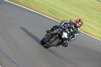 anglesey;brands-hatch;cadwell-park;croft;donington-park;enduro-digital-images;event-digital-images;eventdigitalimages;mallory;no-limits;oulton-park;peter-wileman-photography;racing-digital-images;silverstone;snetterton;trackday-digital-images;trackday-photos;vmcc-banbury-run;welsh-2-day-enduro