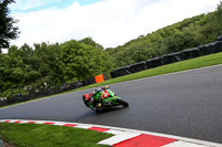 Fast Group Green/Yellow Bikes