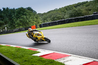 Inter Group Green/Yellow Bikes