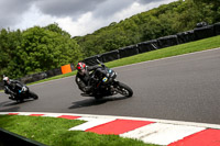 cadwell-no-limits-trackday;cadwell-park;cadwell-park-photographs;cadwell-trackday-photographs;enduro-digital-images;event-digital-images;eventdigitalimages;no-limits-trackdays;peter-wileman-photography;racing-digital-images;trackday-digital-images;trackday-photos