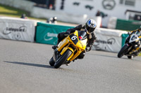 Fast Group Green/Yellow Bikes