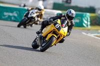 Fast Group Green/Yellow Bikes