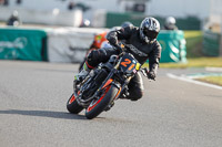 Inter Group Black/Silver Bikes