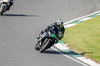 Inter Group Black/Silver Bikes